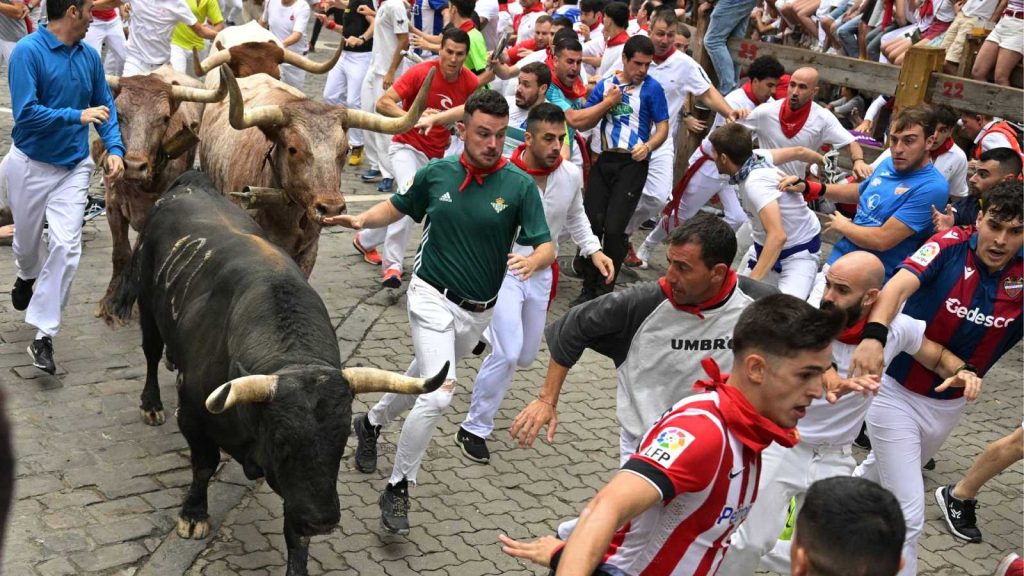 San Fermín y la conjunción de religión, ganadería y tauromaquia