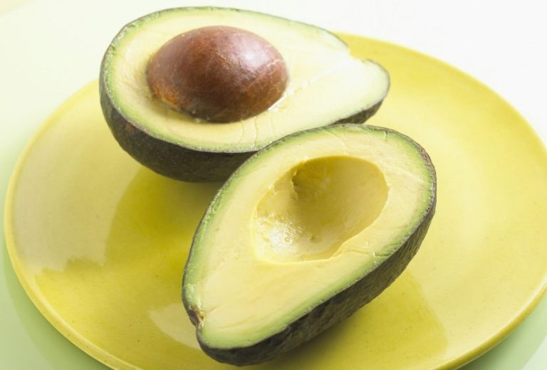 ¡Aguacate! El superalimento que te da energía para disfrutar del verano