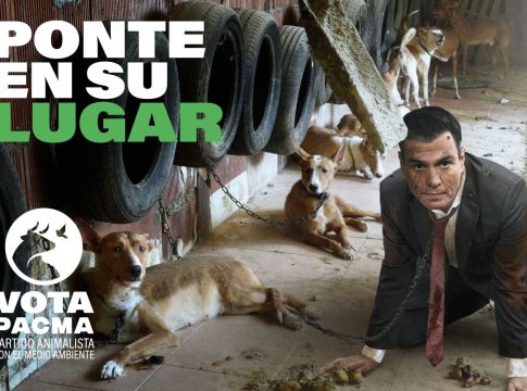 pacma partidos políticos elecciones pacma partidos políticos elecciones