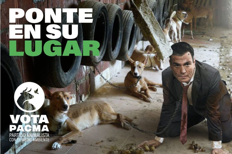 PACMA no cierra la puerta a una posible coalición con Yolanda Díaz a un futuro