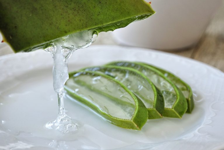 aloe vera