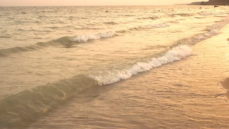 Fiesta del Invierno en Punta Arenas, Chile