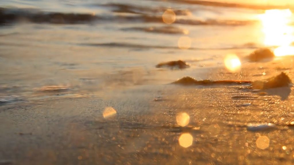 Los 10 mejores juegos para jugar en la playa 1 extrano objeto es encontrado en