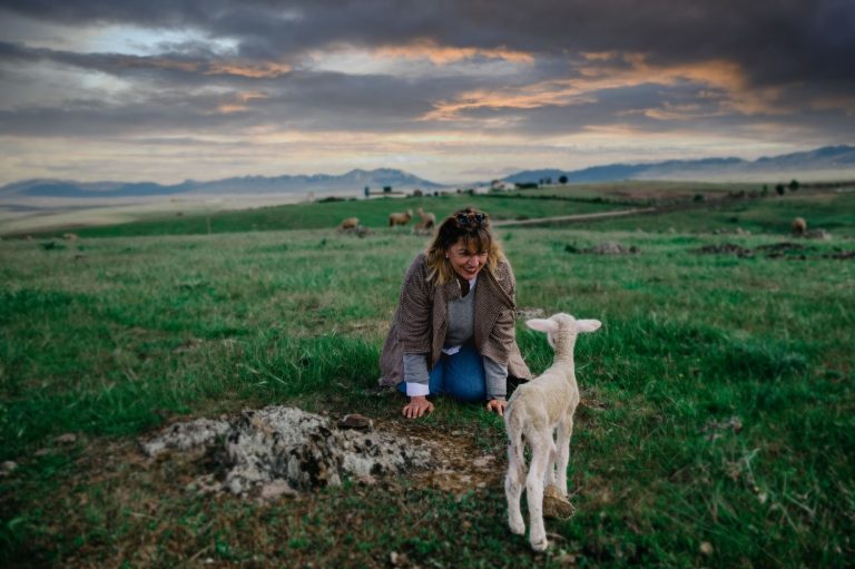 Economía sostenible: un sector en auge con gran potencial para los profesionales senior