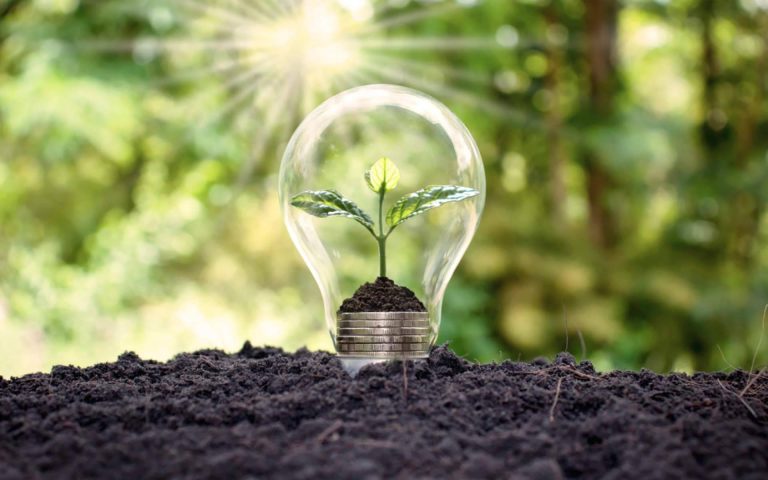 España desaprovecha la producción de energía renovable por los problemas de las redes de transporte