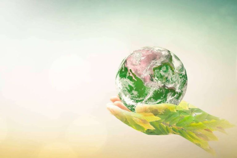 Cómo es la situación actual de la sostenibilidad mundial, por FENISS