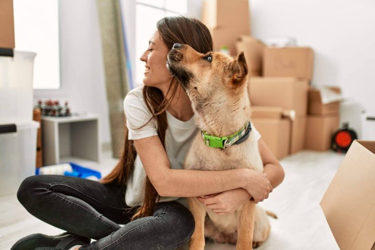 Los beneficios de contar con Mudanzas MBM para el vaciado de pisos en Madrid