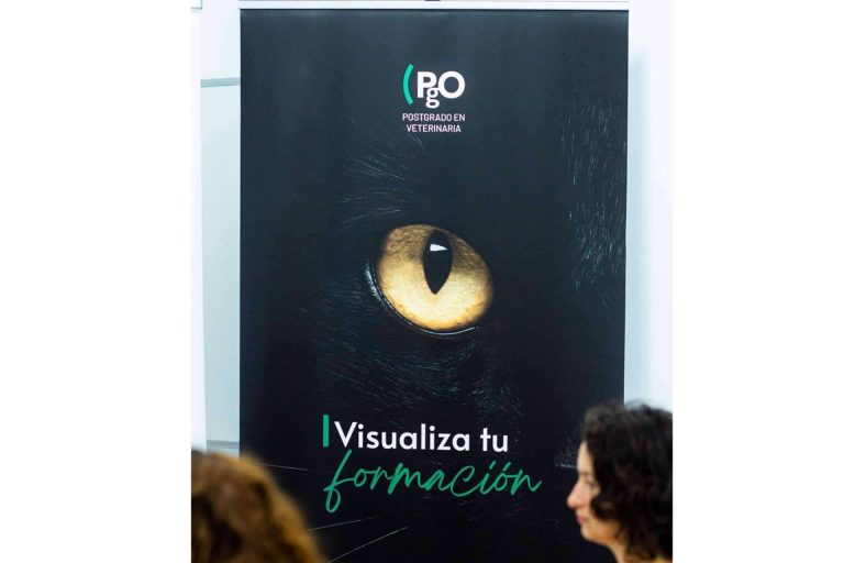 PgO Veterinaria ofrece formación de postgrado de calidad