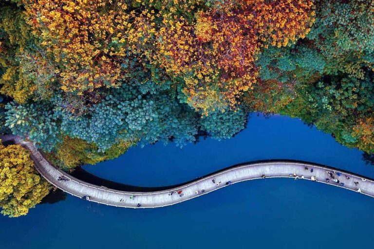 TCL en su camino hacia un futuro más ecológico. Innovación en productos y envases a favor de la sostenibilidad.