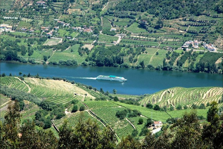 Cruceros por el Duero; historia, paisajes y enoturismo