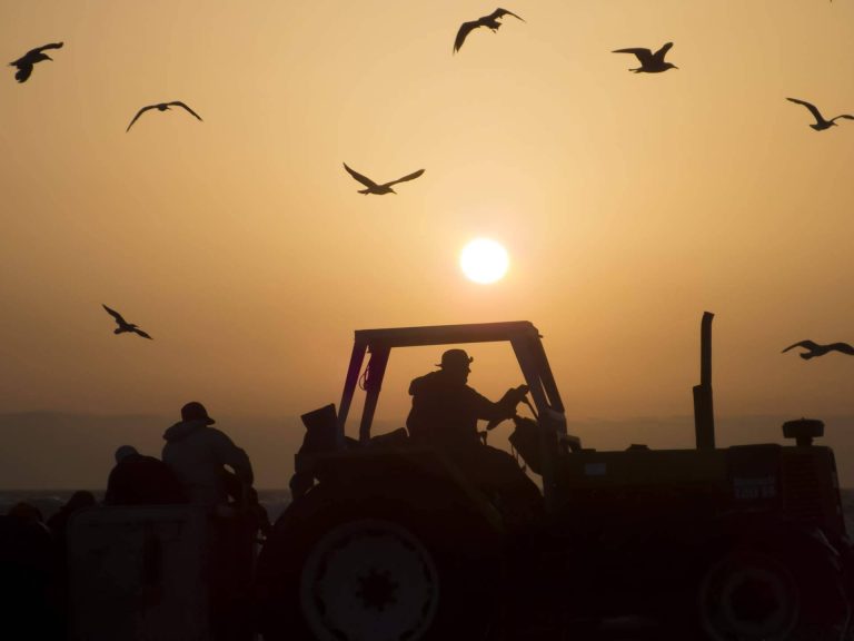 Maquinaria agrícola económica y de calidad de la mano del Grupo Sesla