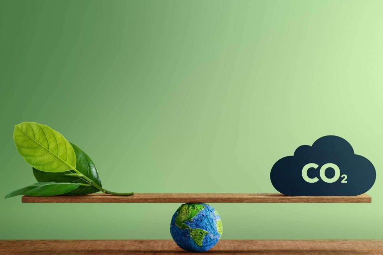 elalquilador.com y su compromiso con la importancia de reducir la huella de carbono