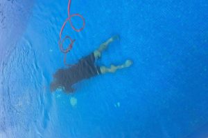 ¿Cómo localizar una fuga en piscina? No Más Fugas