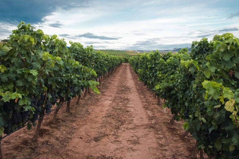 10 trámites que se deben conocer si se tiene una finca o terreno