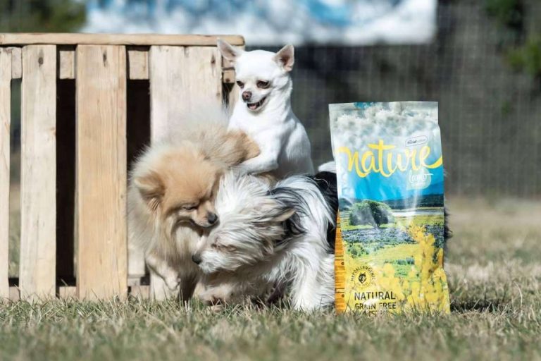 ¿Dónde encontrar pienso para perros hipoalergénico? Satisfaction y su gama Nature