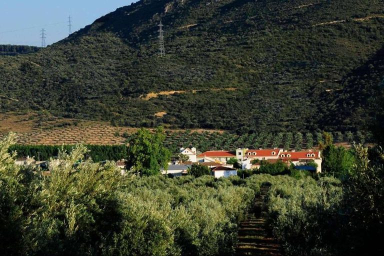 Una gran apuesta para invertir en salud, con Grupo Mentalis