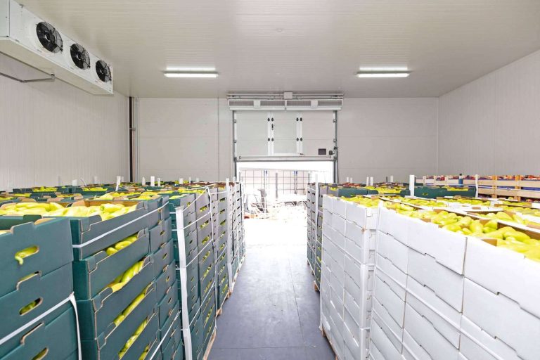 Software ERP para la industria alimentaria de ALBA IBS