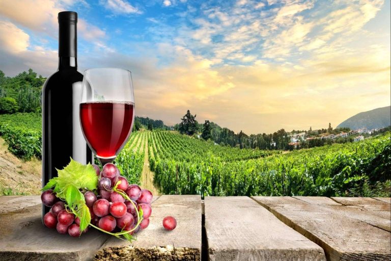 ¿Hay alguna manera de evitar las multas a las bodegas?