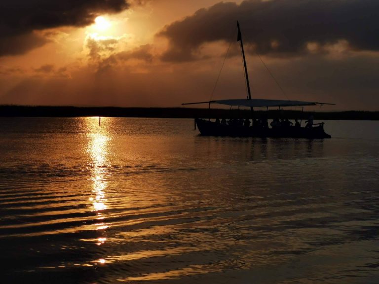 Visitar La Albufera en barca es un plan idóneo en verano, con Albumar