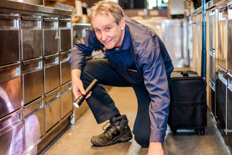 ¿Qué tipos de plagas hay y qué afectación tienen en las empresas?