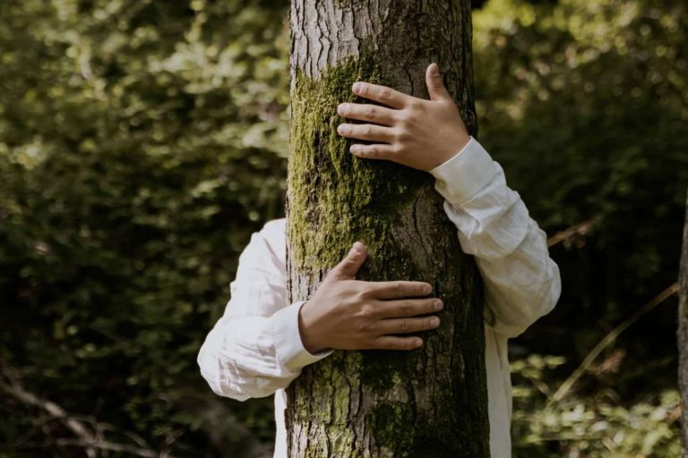 La plataforma Municipiods.com ofrece un programa de formación en ODS y Agenda 2030 para profesionales y técnicos municipales