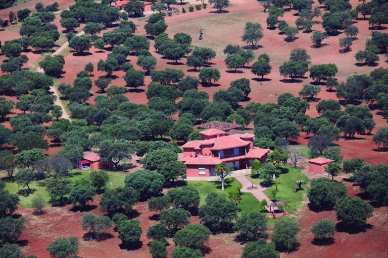 ¿Las fincas rústicas son una buena inversión actualmente?, por GILMAR