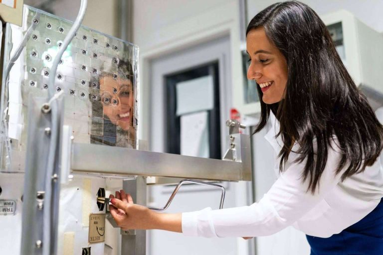 Vender productos industriales con confianza y alcance internacional a través del marketplace global Novaut