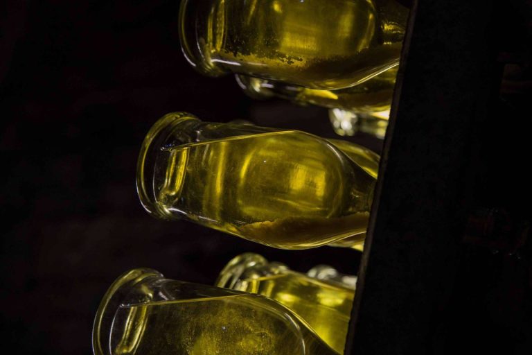 Los vinos ecológicos de Naturalovers Wine; una experiencia auténtica y libre de químicos