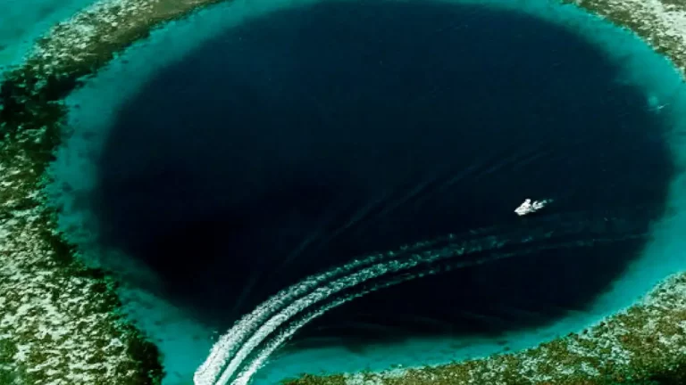 La Fosa de las Marianas ¿Qué es?