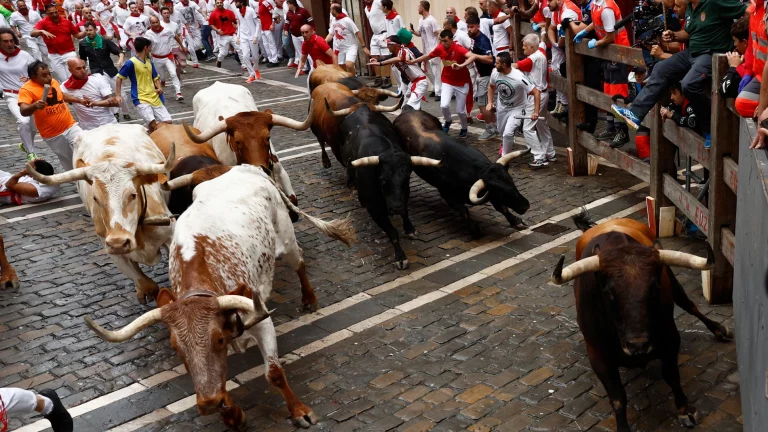 PACMA pide unos Sanfermines sin crueldad animal: 48 toros morirán durante los encierros
