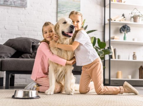 seguro para mascotas