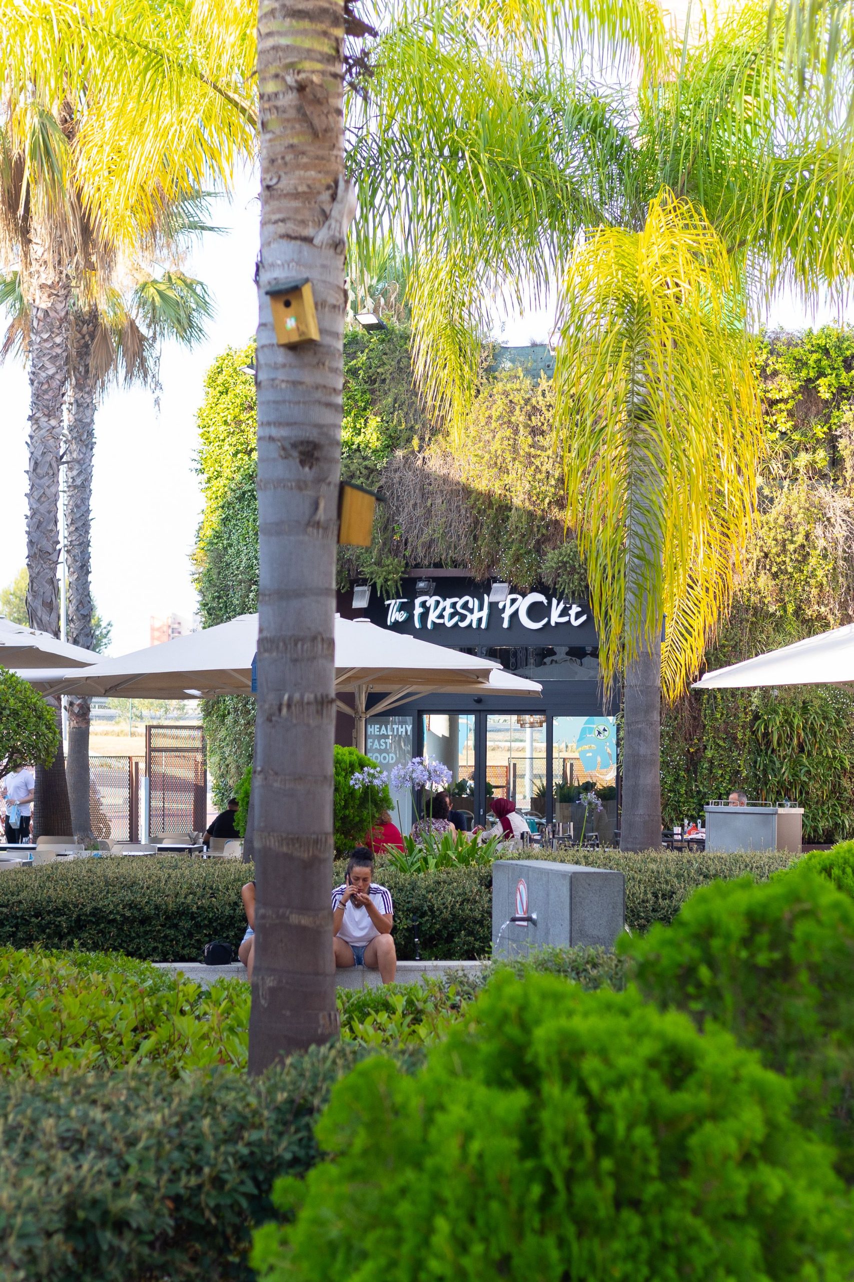 The Fresh Poke abre su décimo local en Andalucía 1 thefreshpoke 20 scaled