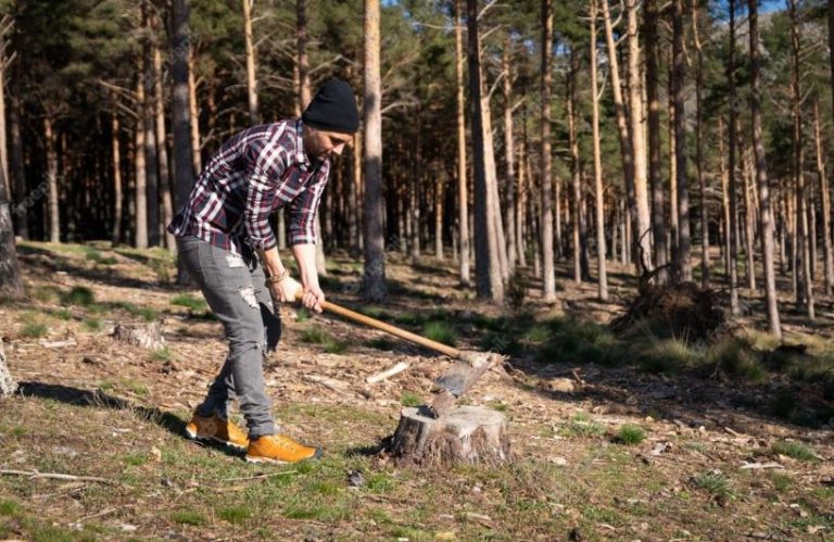 Fundación Artemisan denuncia un 