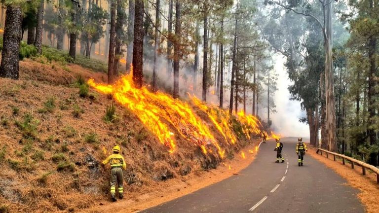 Tenerife lucha por recuperarse: los afectados piden mejorar la Política Ambiental