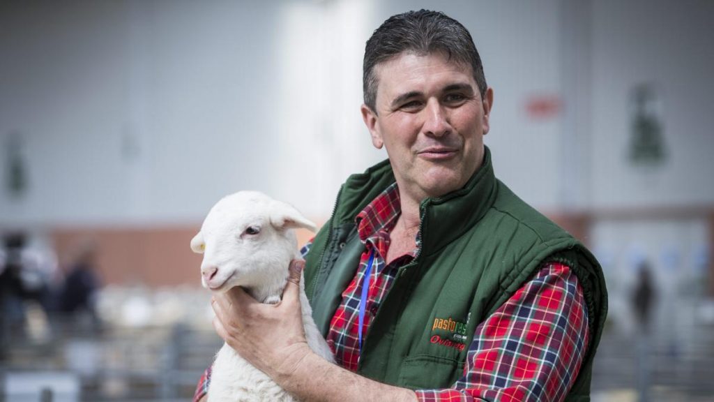 Gran Hermano: así es la vida del ganador Pedro Oliva ahora 31 Gran Hermano: así es la vida del ganador Pedro Oliva ahora