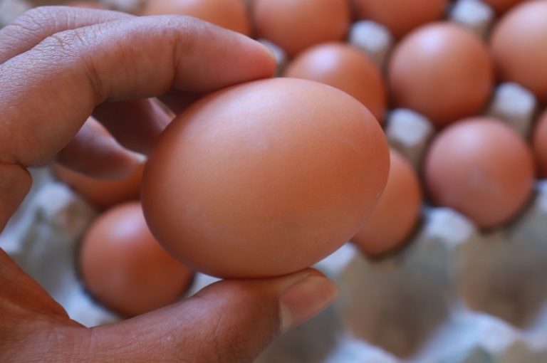 Cómo saber si un huevo está malo en solo un minuto