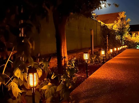 Descubre las mejores opciones de iluminación solar en Amazon para el verano Descubre las mejores opciones de iluminación solar en Amazon para el verano