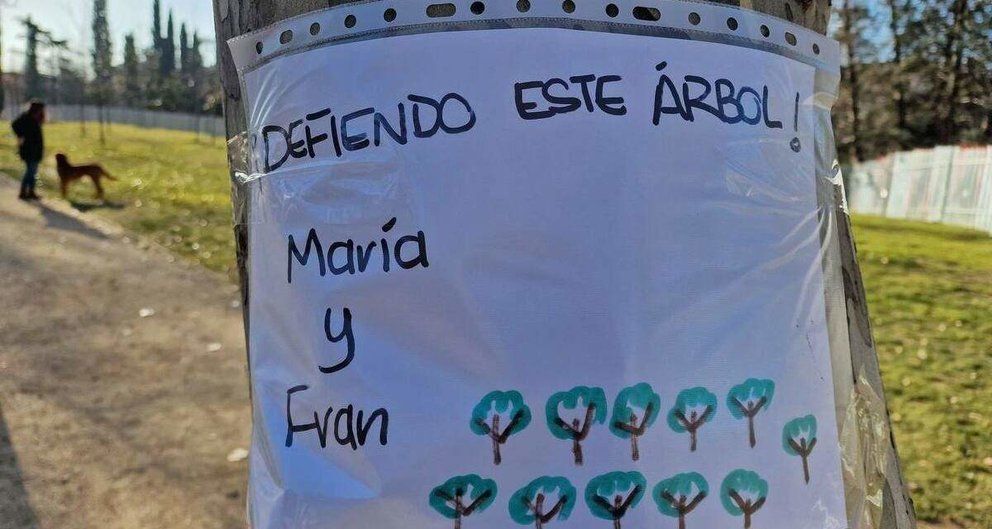 El arboricidio de Madrid Río y la Línea 11 del Metro de Madrid