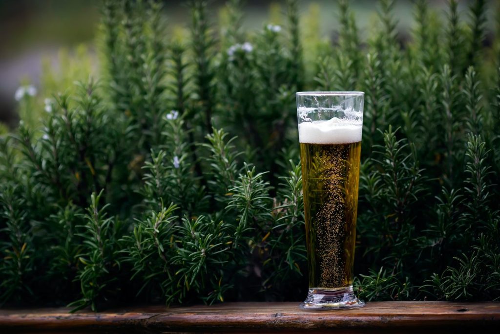 Día Internacional de la Cerveza: mejores consejos para disfrutarla a tope 61 Día Internacional de la Cerveza: mejores consejos para disfrutarla a tope
