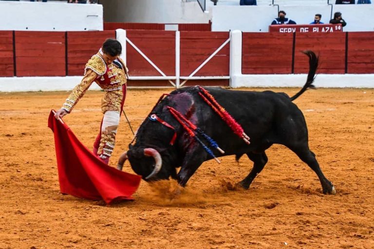 Estas son las curiosidades sobre la tauromaquia que seguro no conoces