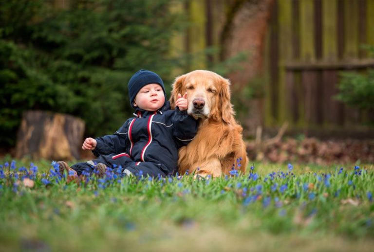 Estas son las razas de perros ideales para tener en casa si tienes niños