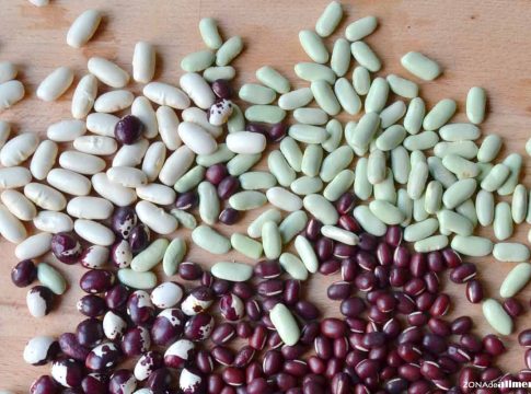 La receta de cuchara con legumbres que se prepara en 15 minutos para llevar al trabajo La receta de cuchara con legumbres que se prepara en 15 minutos para llevar al trabajo
