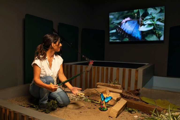 El Grupo LEGO lanza Green Noise Playlist para desvelar un nuevo set increíble inspirado en los insectos