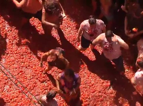 La tomatina: el desperdicio de miles de tomates en plena crisis de inflación