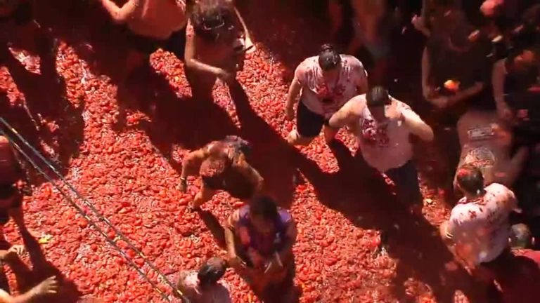 La 'tomatina': el desperdicio de miles de tomates en plena crisis de inflación