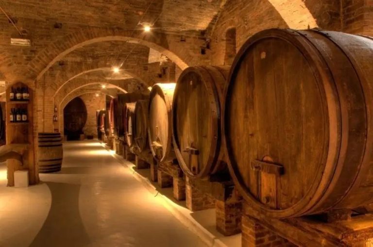 Las 7 mejores bodegas para visitar en España