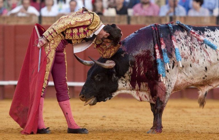 Manuel Escribano pierde el lóbulo de la oreja en plena faena y sigue toreando: 