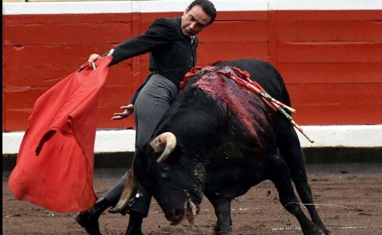 Extremadura dispara un 500% el presupuesto para tauromaquia y recorta 9 millones en cooperación