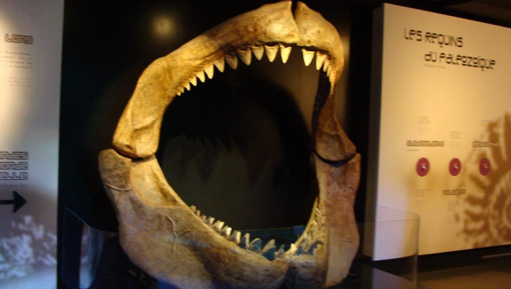 No son historias 100% ciertas