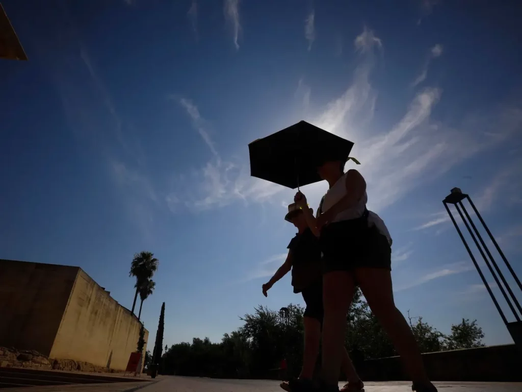 Todos los años vemos a la industria de los paraguas esmerarse